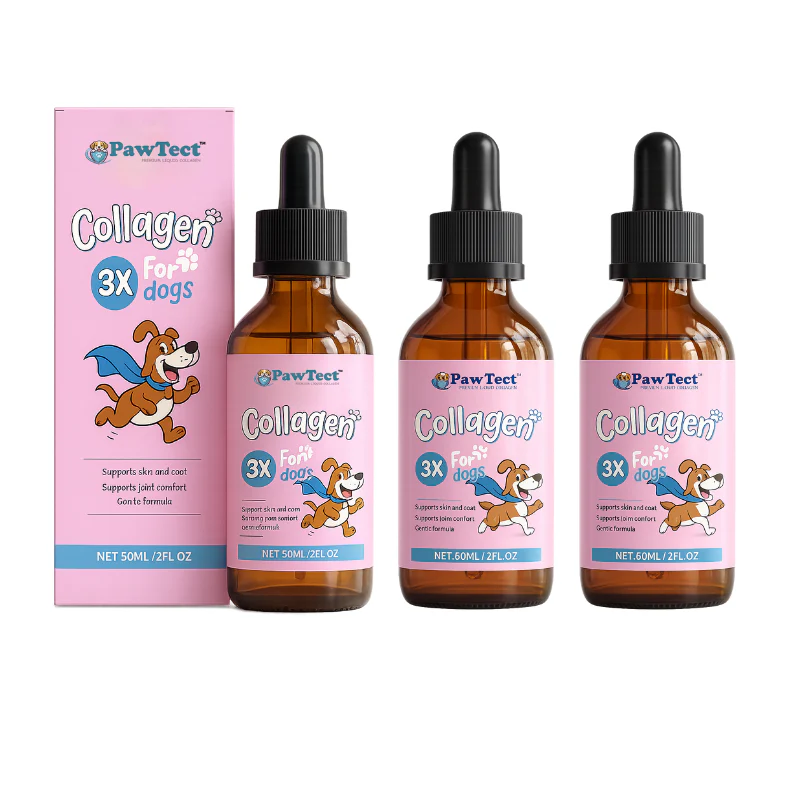PawTect™ - Image 3